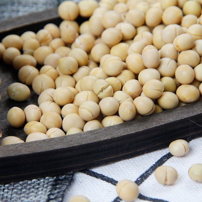 低温烘焙熟五谷杂粮东北熟大豆五谷现磨粉豆浆原料 熟黄豆图5