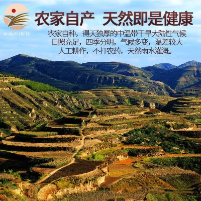 扶风寨山地绿豆2500g清凉降火绿豆糕绿豆粥绿豆冰沙图4