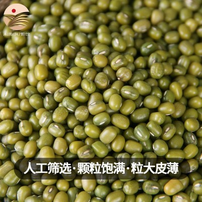 扶风寨山地绿豆2500g清凉降火绿豆糕绿豆粥绿豆冰沙图3