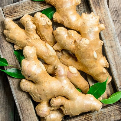 私房猫生姜粉500g瓶装老姜粉干姜粉原始点食用姜茶姜片调料图4