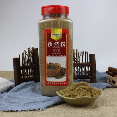 烧烤料鸡排炸串调料餐饮小吃烤肉蘸料家用烤鸡翅羊肉串调料孜然粉图4