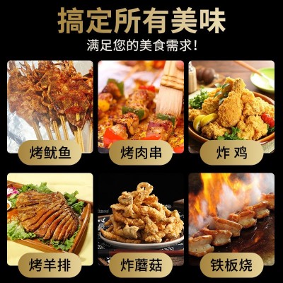 油炸烧烤调料 撒料微辣刷料串串香刷酱料 炸串调味粉烧烤蘸料图2