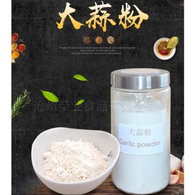 厂家批发脱水大蒜粉 大蒜粉 现货供应