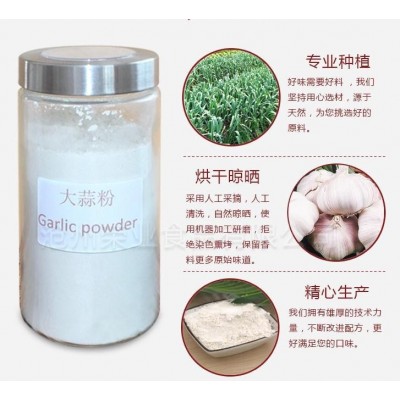 厂家批发脱水大蒜粉 大蒜粉 现货供应图2