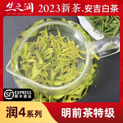 【2023年新茶上市】竺之润正宗安吉白茶明前特级250克小嫩芽花香