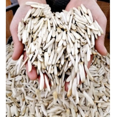 马牙瓜子新疆阿克苏尖下巴500g/袋装 牙签瓜子 炒货葵花子包邮图5