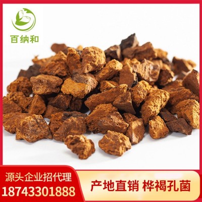 【百纳和】厂家发货白桦茸 桦树茸 桦褐孔菌颗粒 桦树茸颗粒
