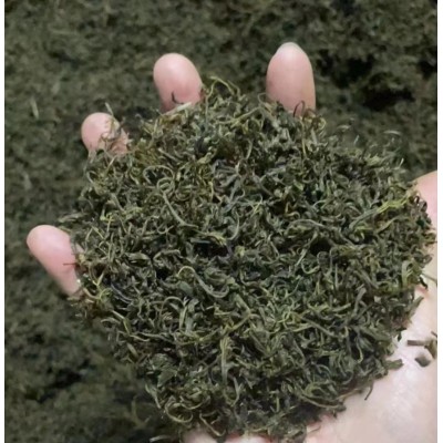 小叶苦丁 青山绿水 大货批发 花草茶 袋泡茶