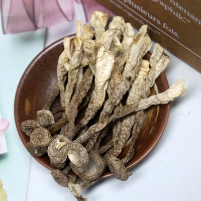 【津鸣】福建古田鹿茸菌干货食用菌 质地细腻、味道鲜美批发图5