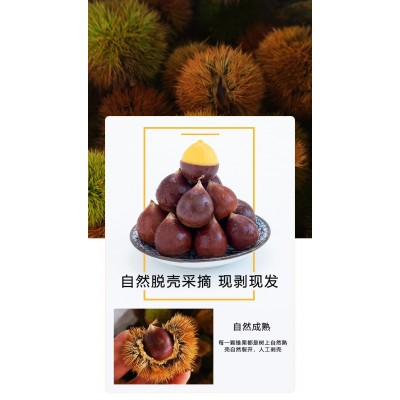 福建建瓯油锥栗1斤/2.5斤/4.5斤 生熟两吃 口感清甜 新疆西藏不发图5