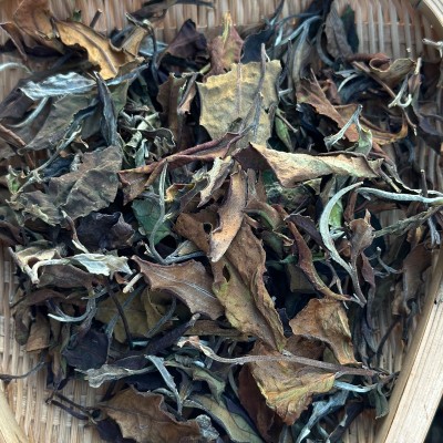 批发 云南白茶散茶 冰岛古树白茶 蜜甜白茶 月光白 全日晒寿眉图2