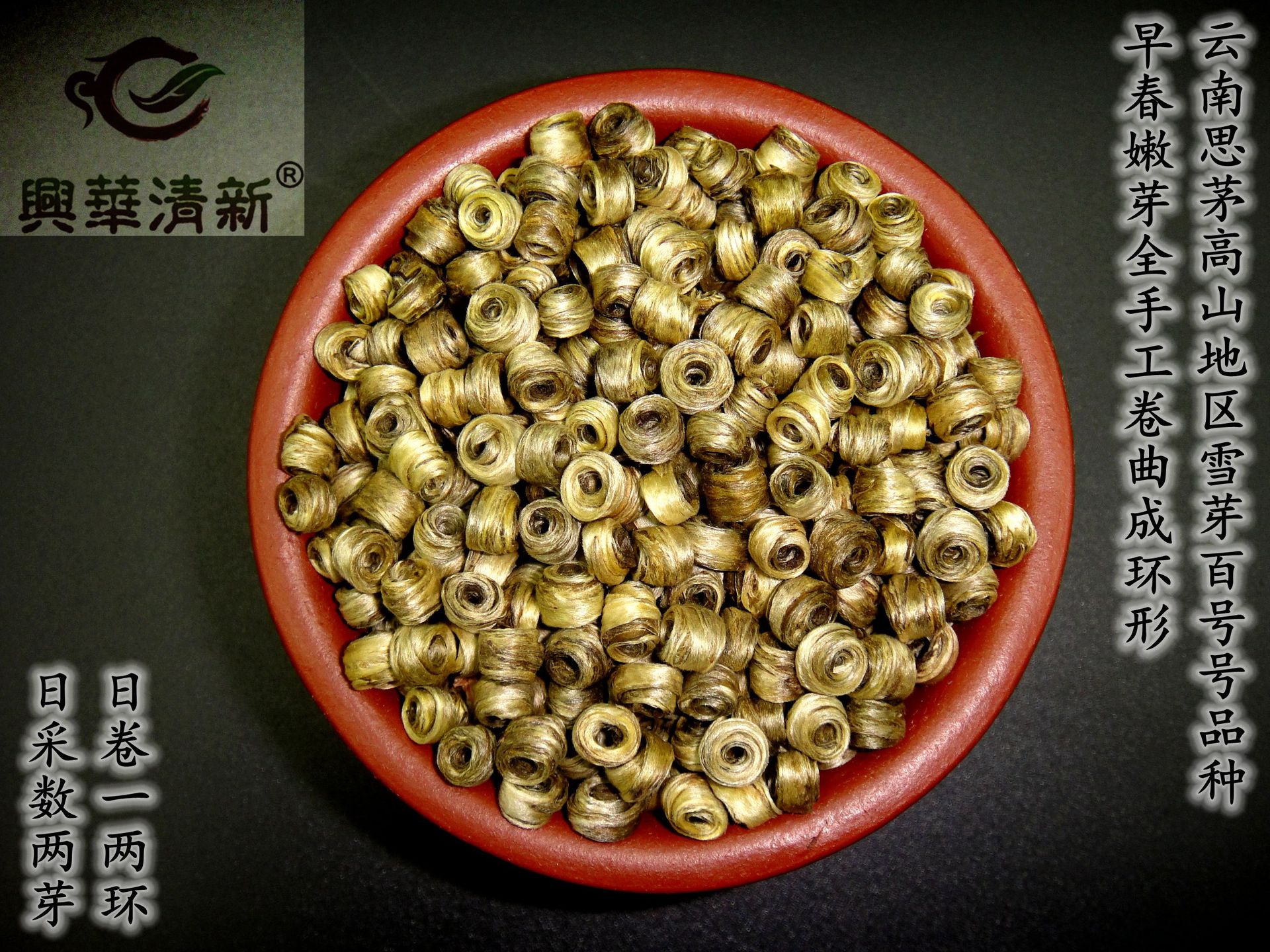 DSC09085_副本