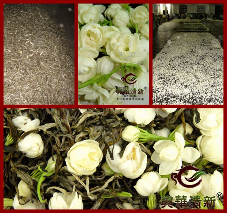 DSC07590_副本_副本