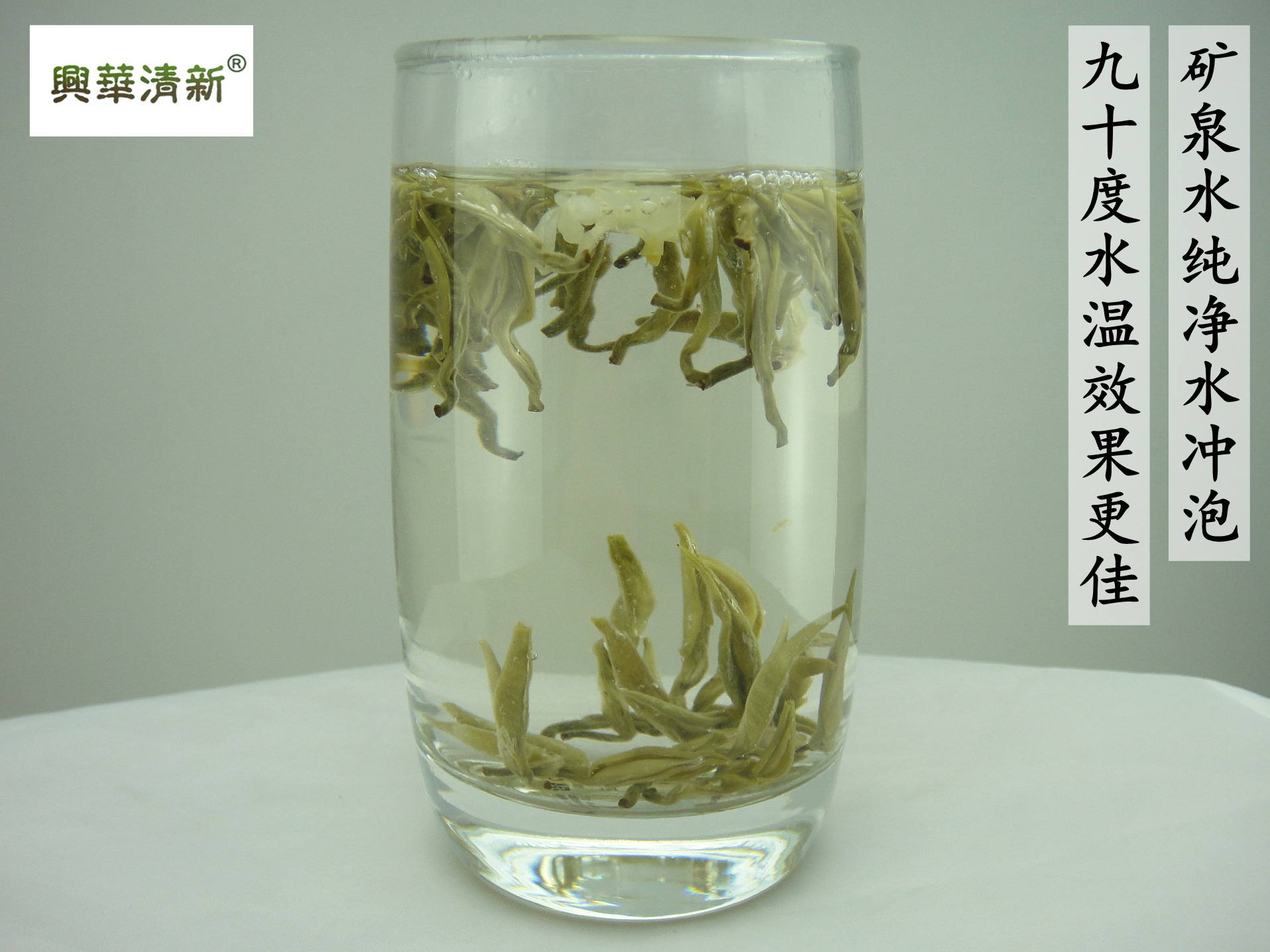 DSC08605.jpg