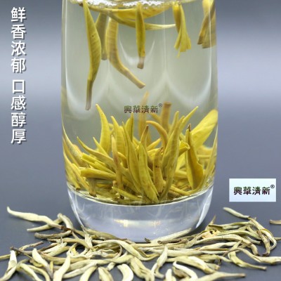 2023年新茶茉莉花茶叶茶芽云南元江茉莉白毫银针浓香茉莉毛尖图4