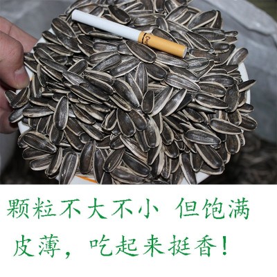 多口味瓜子批发 厂家直销5斤袋装原味干炒五香焦糖白皮 散装瓜子图2
