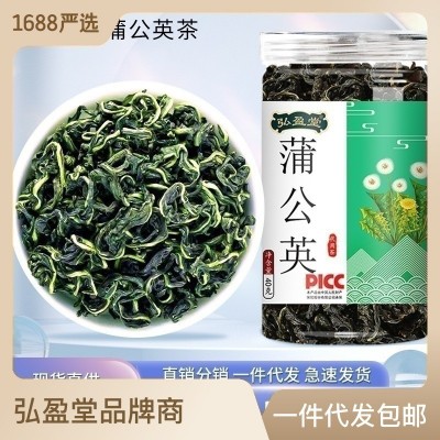 蒲公英茶 婆婆丁 40g 罐装 袋泡茶花茶叶批发礼盒装