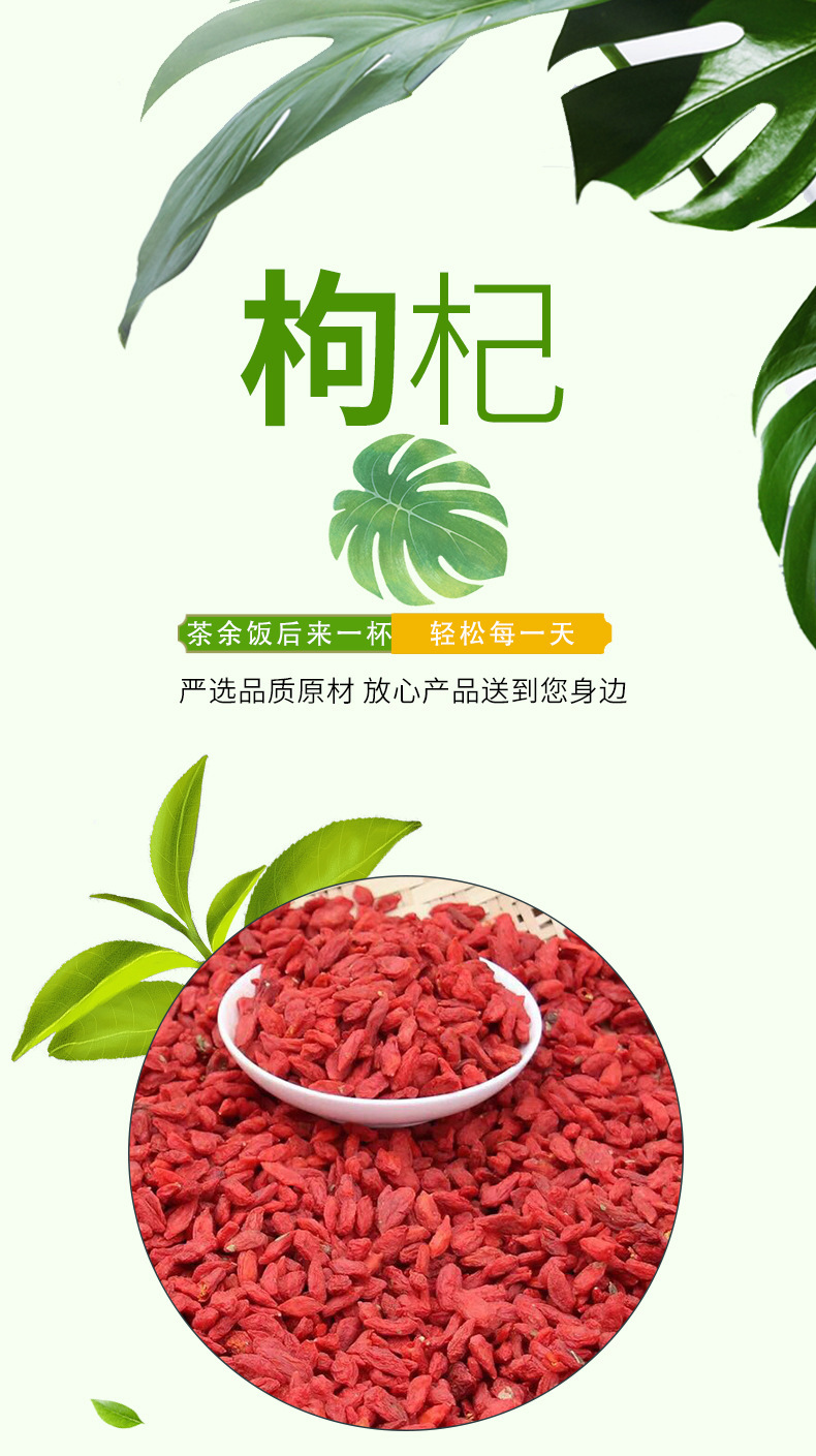 枸杞2