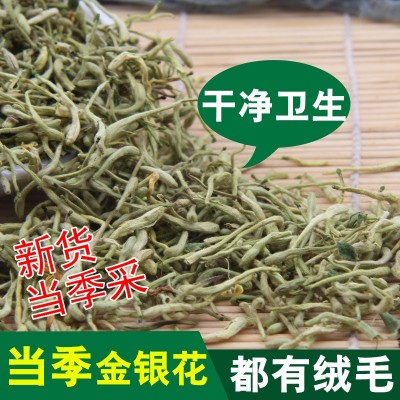 批发供应金银花散装白花绿花现货 山东临沂新金银花量大从优