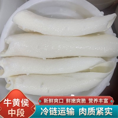 牛黄喉商用火锅食材水发新鲜冷冻配菜生鲜去油免处理牛黄侯中段