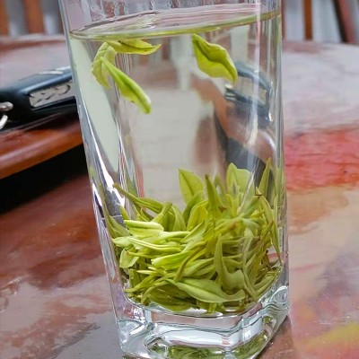 凤型白茶批发绿茶茶叶2023新茶高山明前250克雨前安吉散装茶苗图6