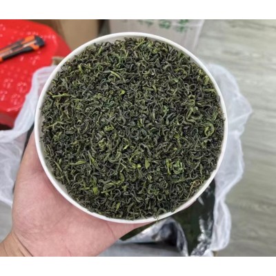 手工卷白茶礼盒装2023年新茶绿茶雨前浓香型茶叶500g安吉茶苗批发图2