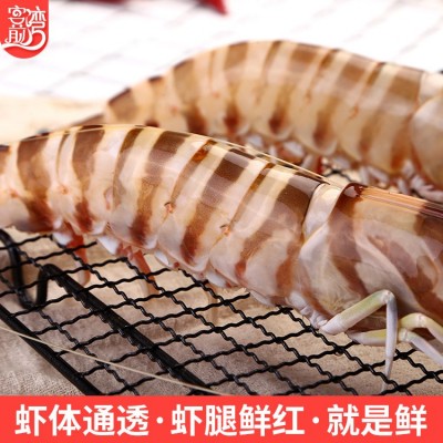 海鲜批发 东山岛水产冷冻斑节虾餐馆酒店供货 产地货源顺丰发货图3