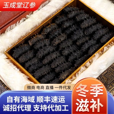 大连淡干海参50g辽刺参干参滋补非礼盒干货年货礼品海鲜厂家批发