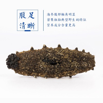 大连淡干海参500g海鲜干货500g散装源头厂家批发小头干海参图2
