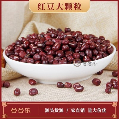 低温烘焙熟大红豆 五谷杂粮 磨坊现磨房磨粉打豆浆早餐原料大颗粒