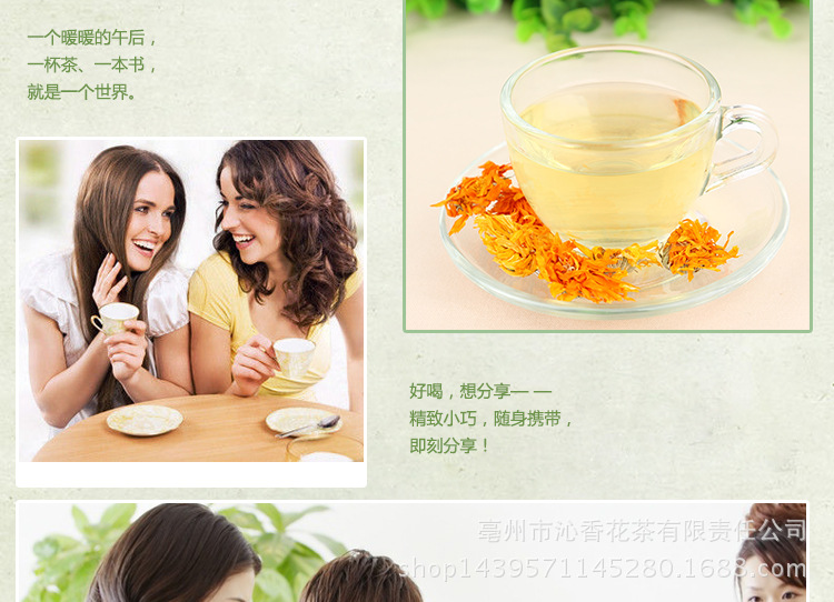 金盏菊_10