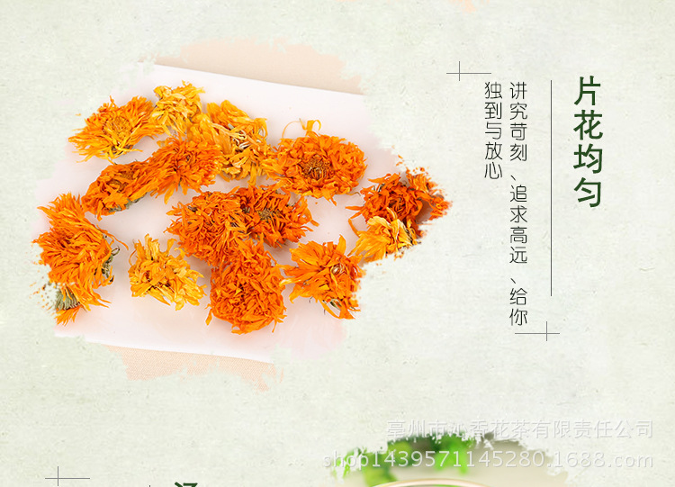 金盏菊_05