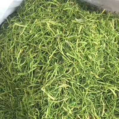 花草茶批发金银花茶批发供应金银花 湖南优质花蕾开花金银花干货图3
