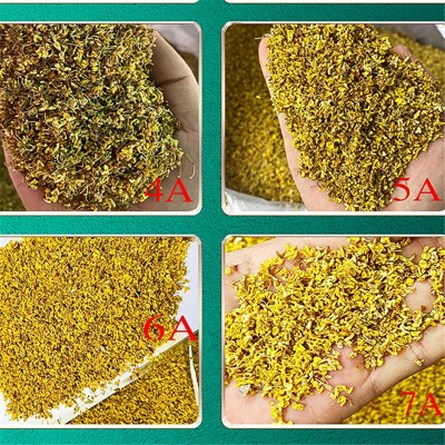 干货广西桂花产地直发花草茶散装干桂花无硫桂花茶新货桂花干批发图4