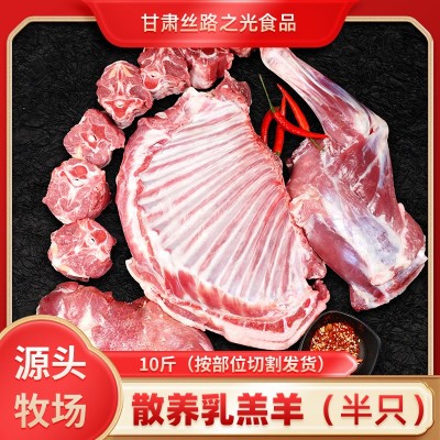 厂家现货直供散养滩羊半只羊10斤新鲜现杀手把生羊肉量大从优