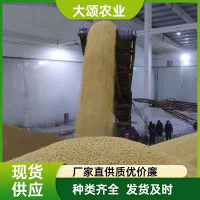 黄豆批发 东北黑龙江大豆 豆浆原料 豆类散装杂粮图3