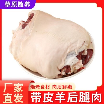 去骨带皮羊腿肉 大羊腿包肉 无骨羊腿肉 冷冻鲜羊肉烧烤食材批发
