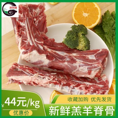 冷冻新鲜羔羊羊脊骨 熬汤炖汤羊蝎子 火锅食材冷冻羊骨厂家批发