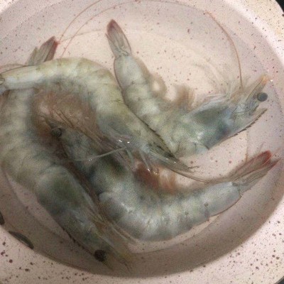 连云港水产冰冻海鲜大虾3.6斤装 海虾40-50 海鲜速冻对虾图4