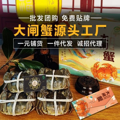 阳澄湖镇大闸蟹诚邀加盟代理鲜活螃蟹批发活蟹微商代发大闸蟹螃蟹图3