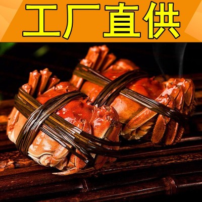 阳澄湖镇大闸蟹诚邀加盟代理鲜活螃蟹批发活蟹微商代发大闸蟹螃蟹图2
