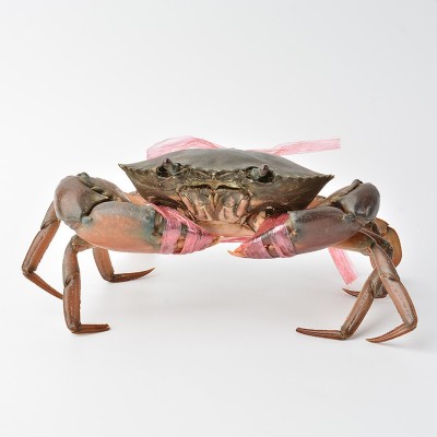 批发鲜活青蟹缅甸蟹孟加拉蟹肉蟹煲大螃蟹2-5两/只母螃蟹9只包邮图2