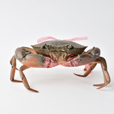 批发鲜活青蟹缅甸蟹孟加拉蟹肉蟹煲大螃蟹2-5两/只母螃蟹9只包邮图4