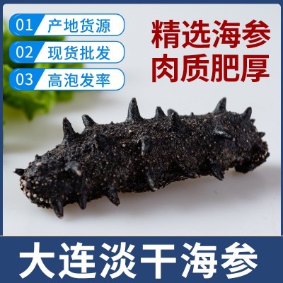 免运费大连淡干海参底播辽刺参5g一只拿样品尝海参干货批发图2