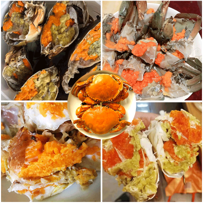 拥剑蟹东山岛海蟹扁蟹肉蟹梭子蟹麻辣蟹排清蒸螃蟹野生放笼海鲜