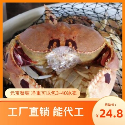 麻辣蟹钳东山海鲜元宝蟹脚江西的蟹脚净重12斤毛20可定珍宝蟹钳图2