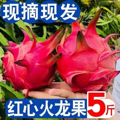广西火龙果当季红心火龙果红肉新鲜直供应季热带水果批发