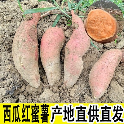 西瓜红蜜薯新鲜8斤批发云南糖心沙地红薯现挖现发