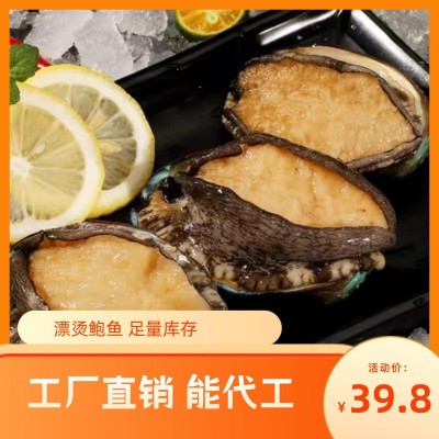 福建鲍 东山岛送礼家庭食用商用8头10头12只标准含冰大量库存批发