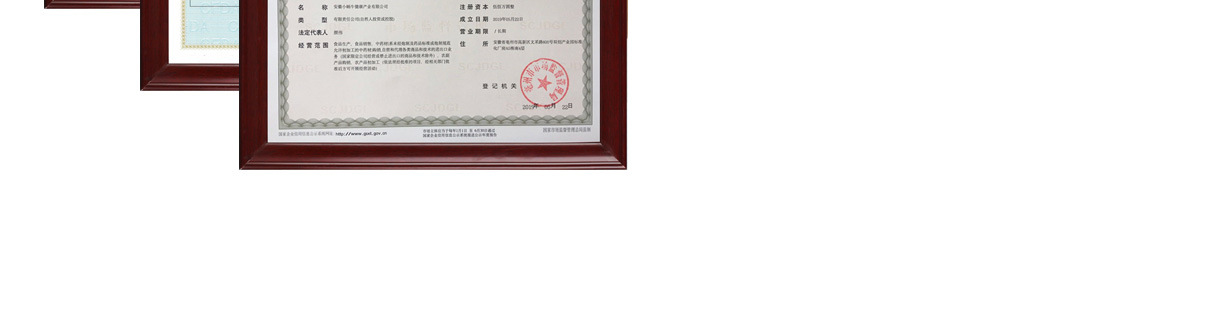 主页详情小蜗牛_10